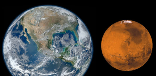 Life on Earth and Mars