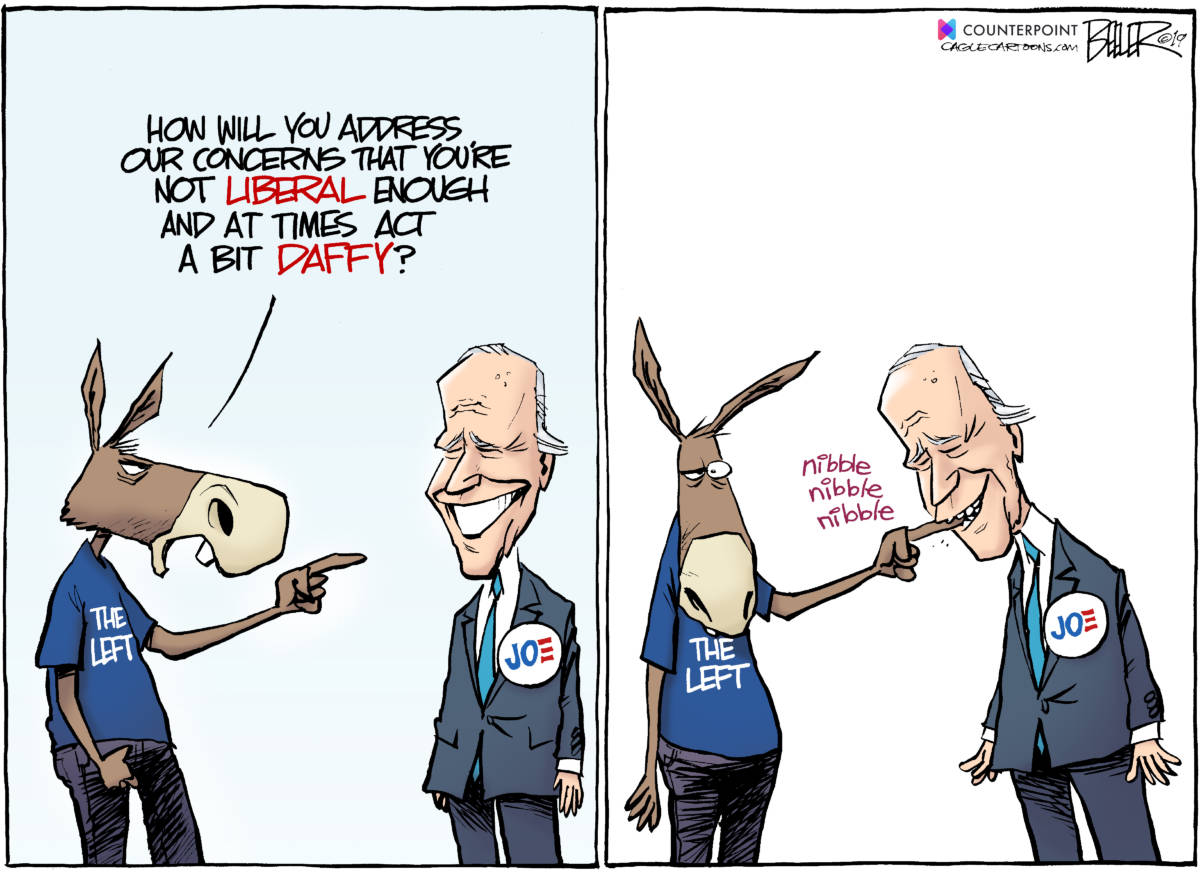 Biden and Dems by Nate Beeler, Counterpoint