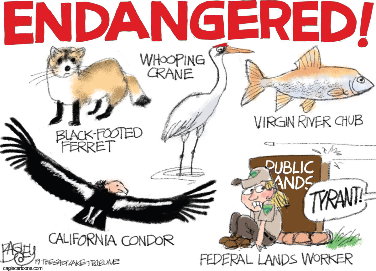 Endangered by Pat Bagley, The Salt Lake Tribune, UT