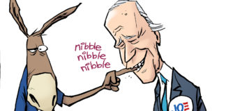 Biden and Dems Biden and Dems by Nate Beeler, Counterpoint