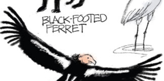 Endangered Endangered by Pat Bagley, The Salt Lake Tribune, UT