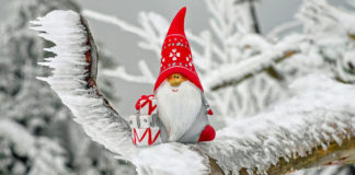 Southern Utah Events Guide southern utah events guide Cover Dec 19 2019