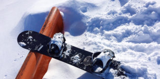 Southern Utah Events Guide southern utah adoptable pets Cover Jan 2 2020