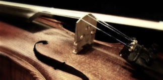 David Jorgensen performs with violinist Olga Ivanenko at Kayenta David Jorgensen will perform a special concert with Ukranian violin prodigy and star of the "I am Dixie" campaign Olga Ivanenko at Kayenta.