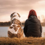Red Hills Animal Hospital opens second hospital Red Hills Animal Hospital announced the opening of its second hospital, Desert Hills Animal Hospital. An open house will be held in January 2020.