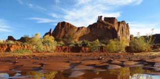 Todd D. Adams appointed director of Utah Division of Water Resources To replace Eric Millis, who retired after nearly 32 years with the division, Todd D. Adams has been appointed director of Utah Division of Water Resources.