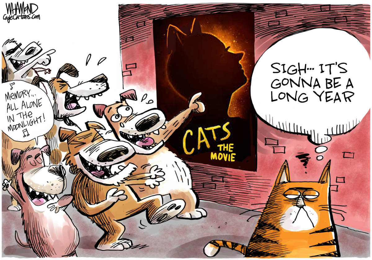 The CATS movie is a real dog by Dave Whamond, Canada, PoliticalCartoons.com