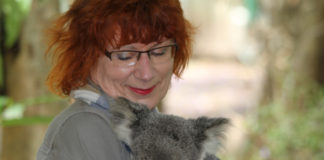 Be wary before bushfire or earthquake donations The BBB has specific advice for those wishing to give donations to those affected by the Australian bushfires or Puerto Rican earthquakes.