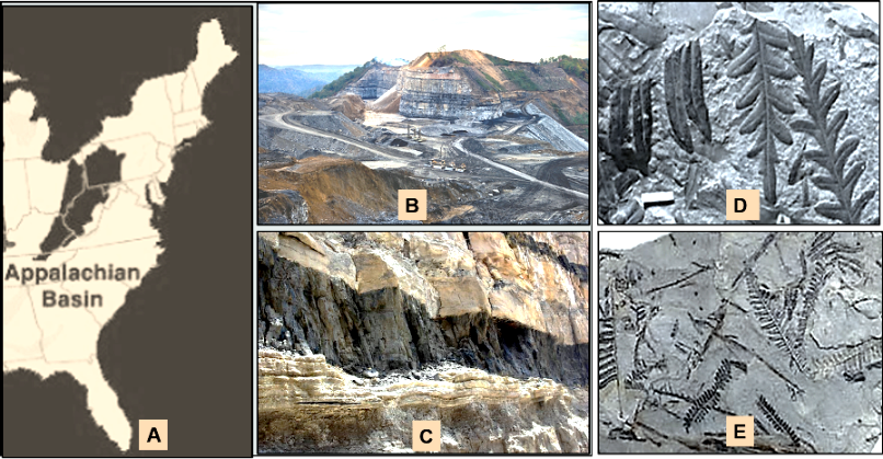 Our Geological Wonderland: How geology made America great