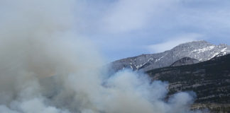 Interior says it reduced wildfire risks on over 1.4 million acres of federal land in 2019 Interior announced that it had doubled and tripled targets set by President Donald Trump for vegetative treatments to reduce wildfire risks in FY 2019.