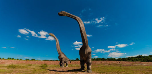 A team of paleontologists have recovered a 6-foot 7-inch humerus belonging to the rare 30-ton dinosaur Brachiosaurus in the desert of southern Utah.