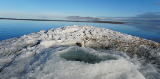 Rare mirabilite formations found on Great Salt Lake shoreline Park rangers and geologists have discovered four rare mirabilite formations on the south shore of the Great Salt Lake, just north of the park and marina.