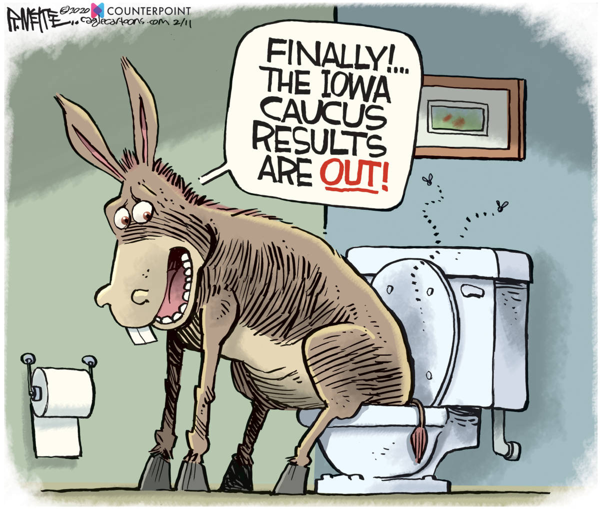 Iowa Results by Rick McKee, Counterpoint