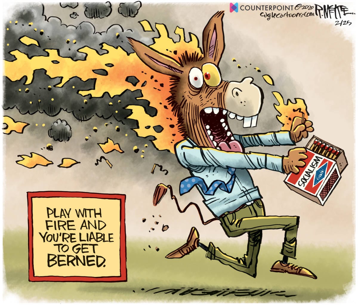 Democrats Berned by Rick McKee, Counterpoint