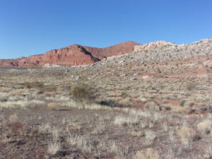 Hiking Southern Utah: White Reef/Leeds Reef Loop Trail in Red Cliffs Desert Reserve
