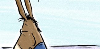 Democratic Election Map Democratic Election Map by Christopher Weyant, The Boston Globe, MA