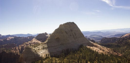 Climbing routes on cliffs used by nesting Peregrine Falcons in Zion National Park will be temporarily closed beginning March 1.