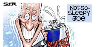 The Establishment Strikes Back Biden boost, the establishment strikes back and bernie sanders is on the lamb once again