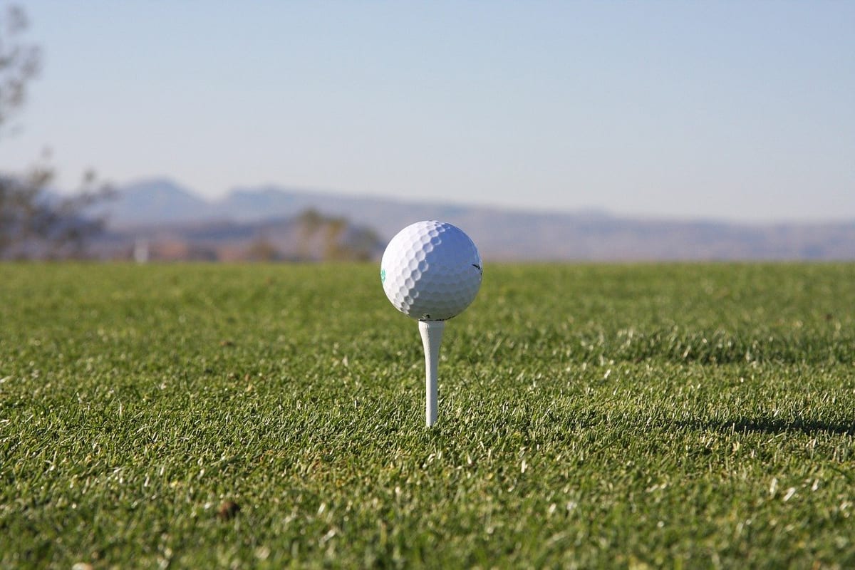 Registration opens for 18th annual Mesquite Amateur