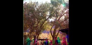 SUU Student James Culbertson, Opens Exhibit in Zion SUU student James Culbertson will exhibit works from his Zion student artist residency at the Natural History Museum Art Gallery inside Zion National Park.