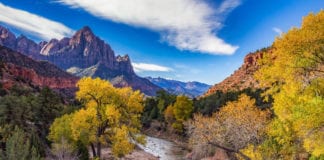 Coronavirus (COVID-19) in Washington County Utah