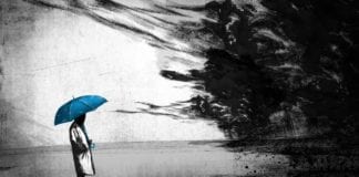 Poll: What Is Your Number One Concern Today?