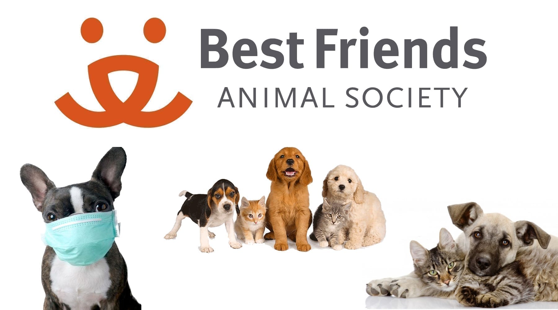 Best Friends Animal Society Business Assistance Grants The
