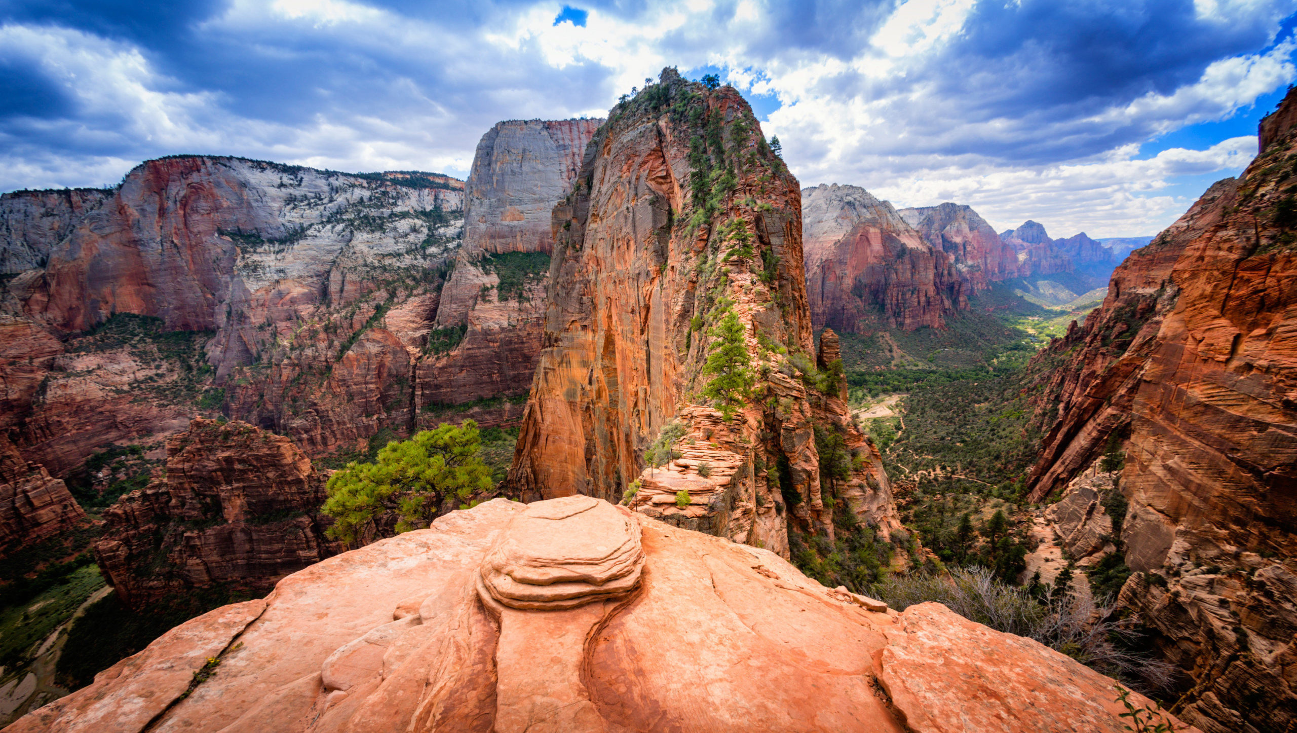 hikes in Zion National Park