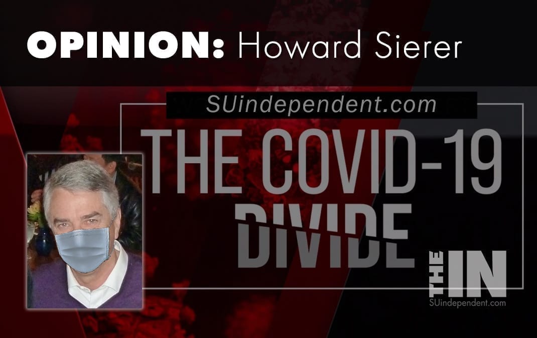 The Covid-19 Divide