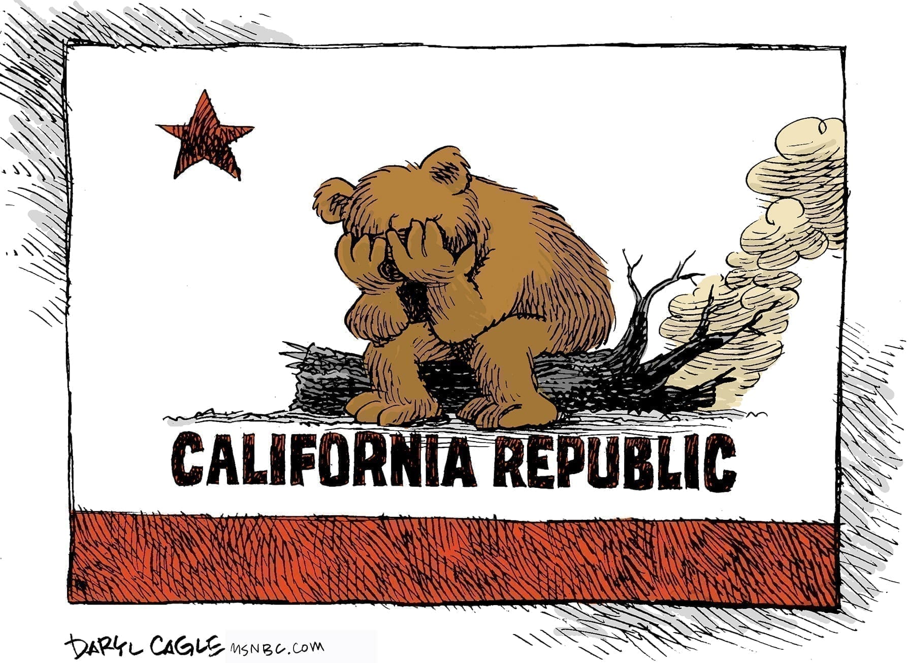California Fire Bear Grieves