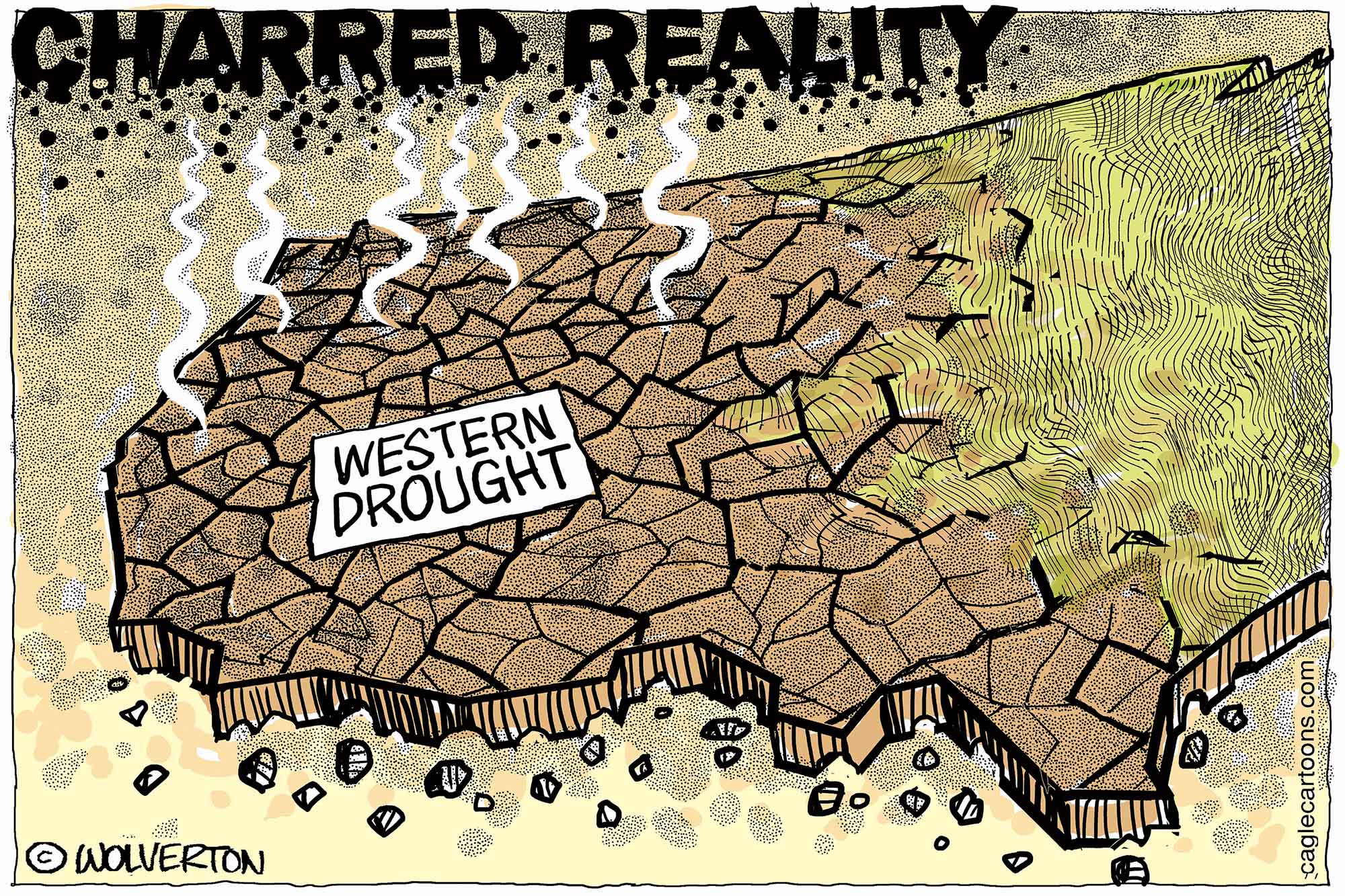 Editorial Cartoon: Charred Reality of the Western Drought - The Independent  | News Events Opinion More