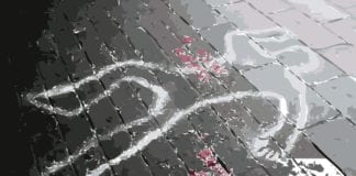 Southern Utah Events Guide