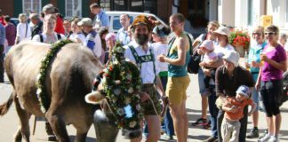 Southern Utah Events Guide