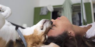 Southern Utah Adoptable Pets Guide