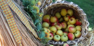 Southern Utah Events Guide