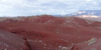 West Cinder Knoll Trail, Red Cliffs Desert Reserve West Cinder Knoll Trail
