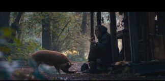 The Best Films of 2021