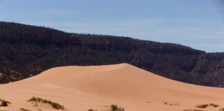 Coral Pink Sand Dunes