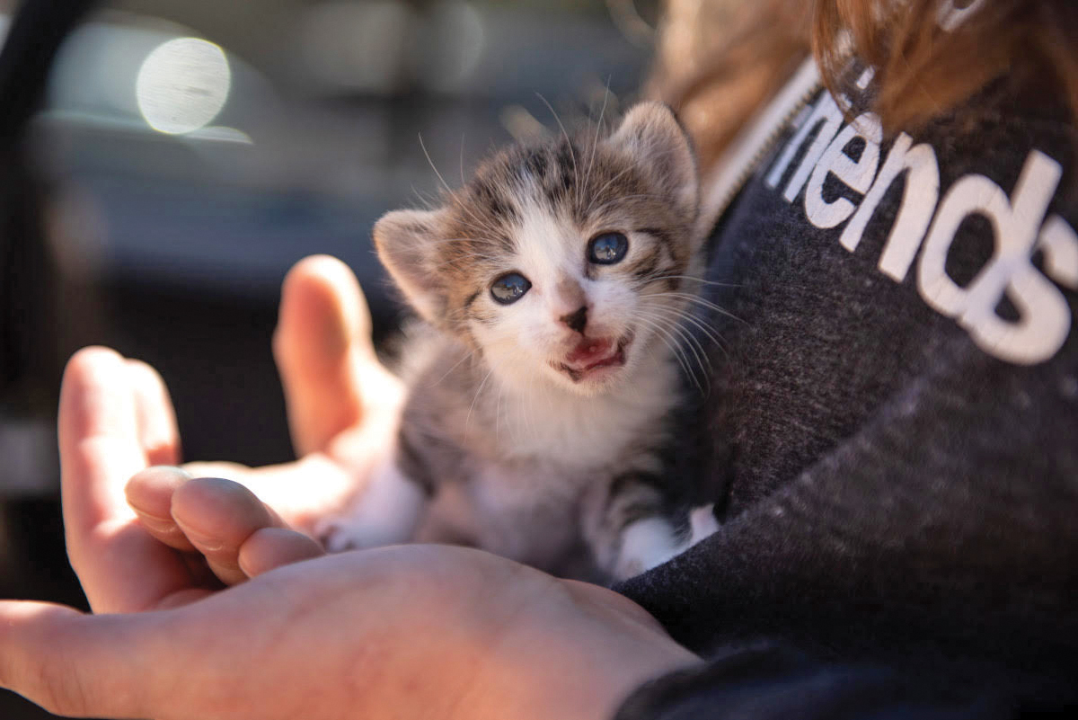 Best Friends Animal Sanctuary