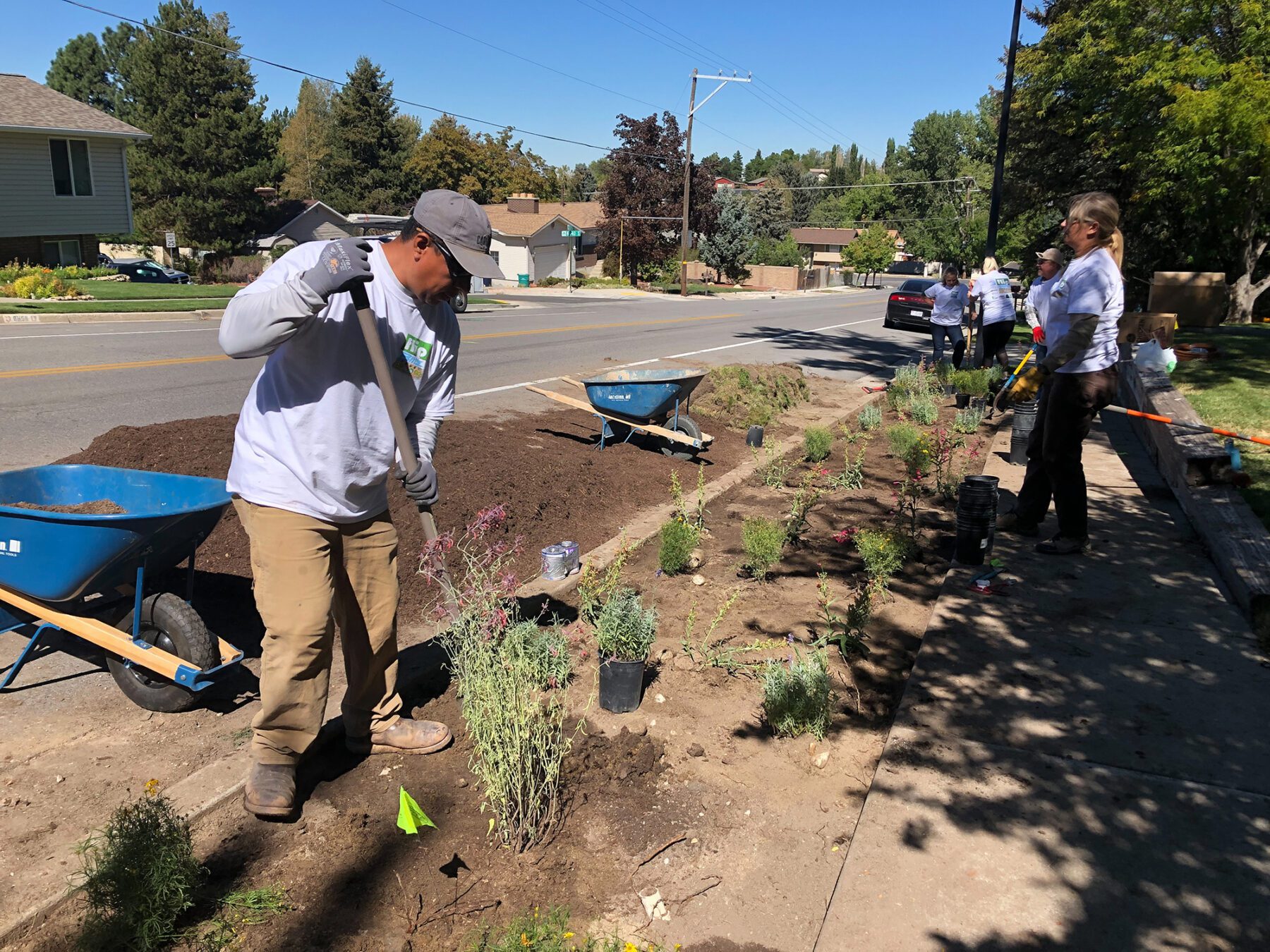 Washington County Removing Over 100,000 Square Feet Of Grass Throughout ...