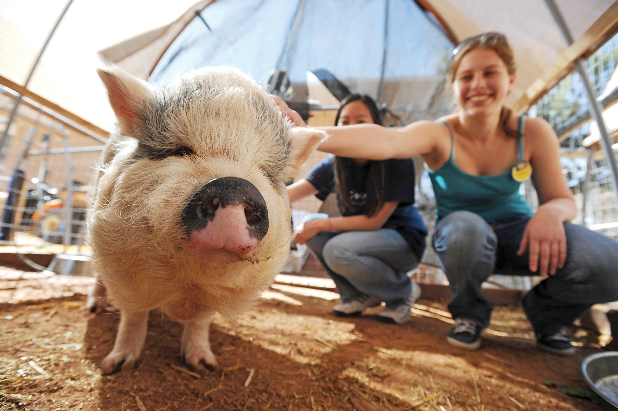 Best Friends Animal Sanctuary