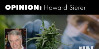 Cannabis and Psychosis cannibis