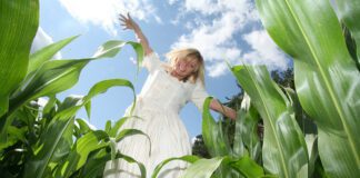 Southern Utah Events Guide – August 26, 2022