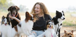 Southern Utah Adoptable Pets Guide – September 23, 2022