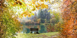 Southern Utah Events Guide – November 3, 2022