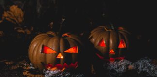 Southern Utah Events Guide