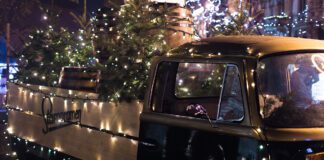 Southern Utah Events Guide