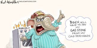 Stove Debate A Real Gas Gas Stove From My Cold Dead Hands - By Ed Wexler