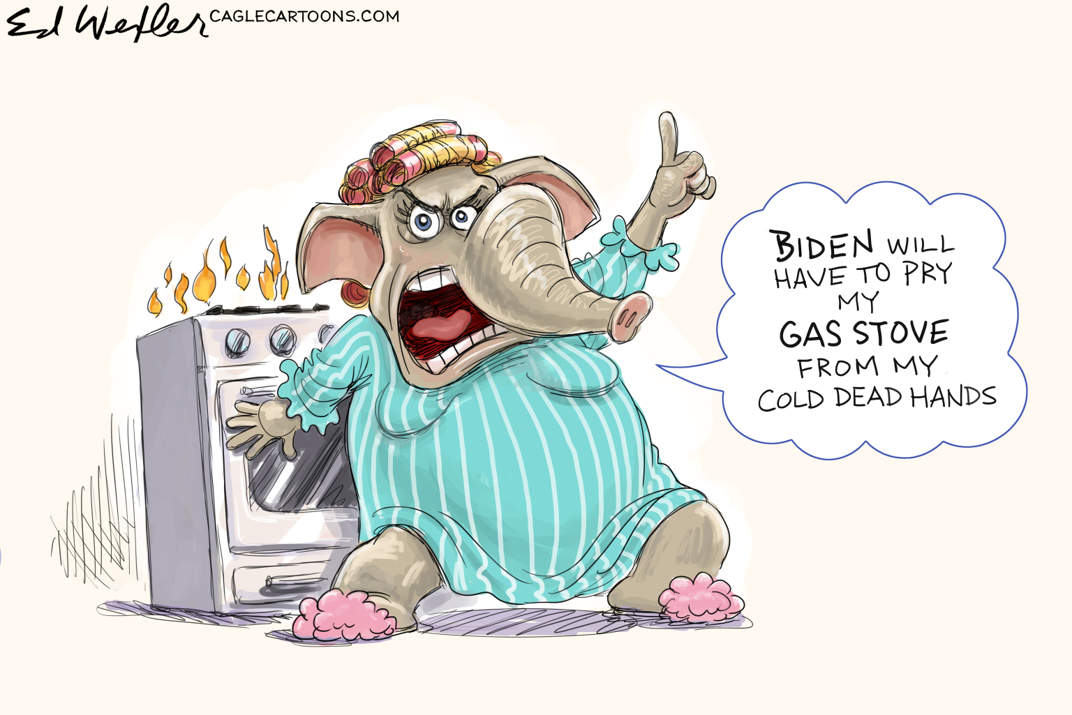Gas Stove From My Cold Dead Hands - By Ed Wexler