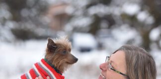 Have Some Winter Fun with Best Friends! Best Friends Animal Sanctuary